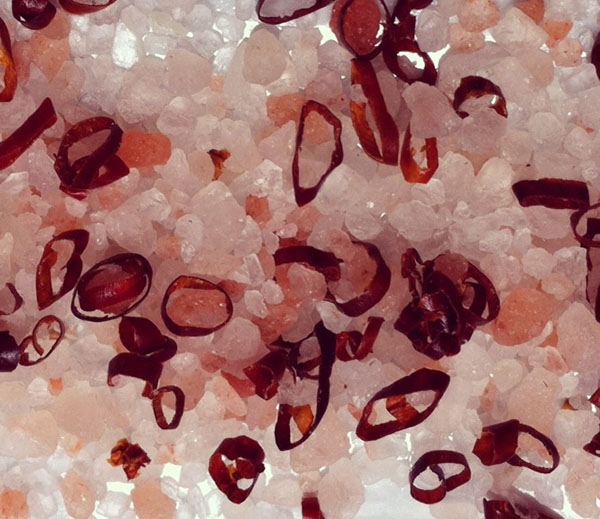 sale grosso con fettine di peperoncino